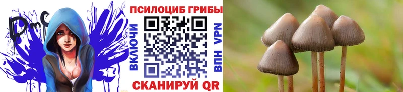 Галлюциногенные грибы Magic Shrooms  ОМГ ОМГ зеркало  Нововоронеж 