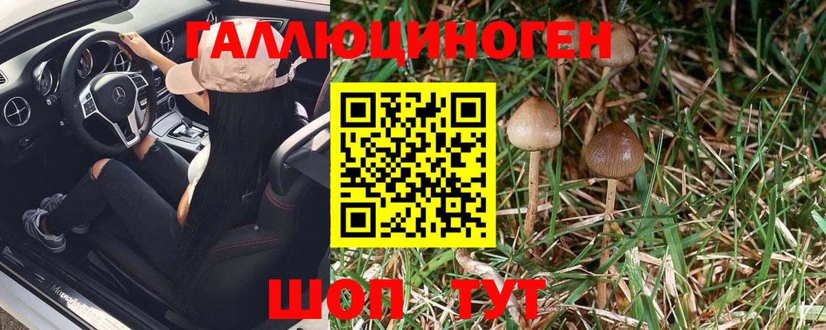 Псилоцибиновые грибы мицелий  как найти   Нововоронеж 