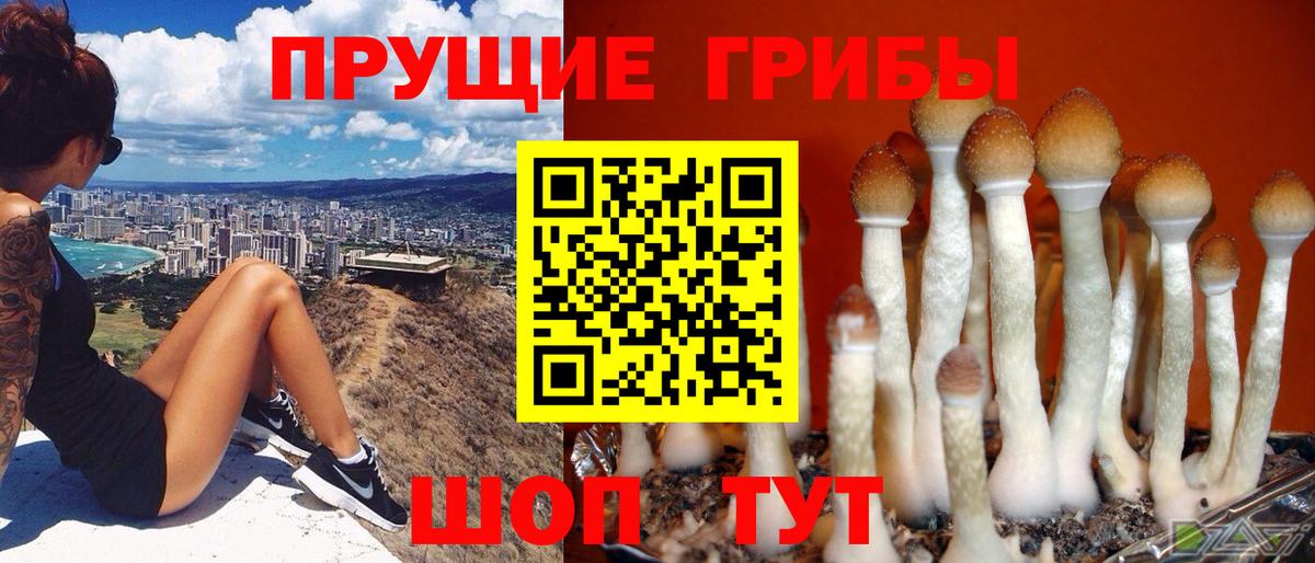Псилоцибиновые грибы ЛСД  Псилоцибиновые грибы MAGIC MUSHROOMS  Вход с VPN  Нововоронеж 
