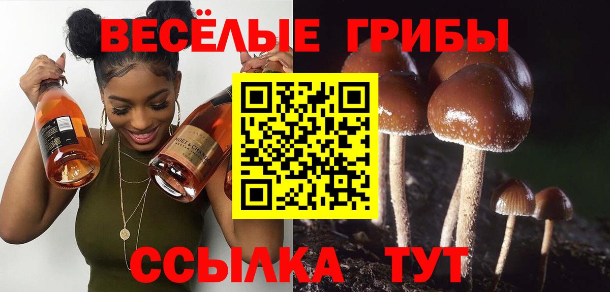 Галлюциногенные грибы мухоморы Нововоронеж