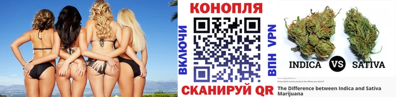 hydra ONION  мориарти как зайти  Каннабис семена  Нововоронеж 